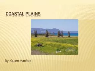 Coastal Plains