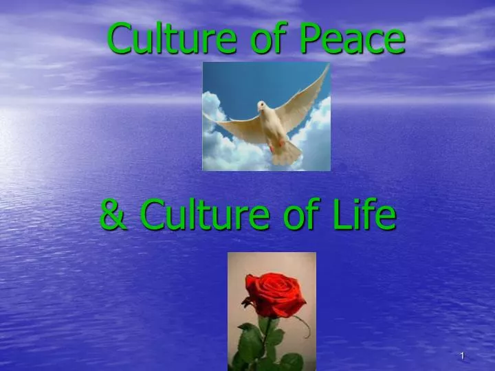 culture of peace