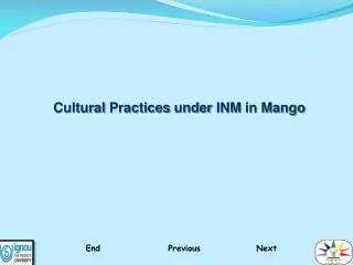 Cultural Practices under INM in Mango