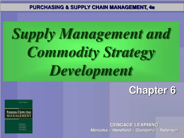 supply management and commodity strategy development