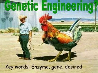 Genetic Engineering?