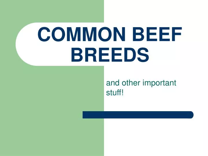 common beef breeds