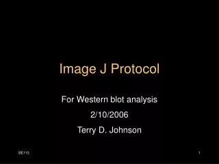 Image J Protocol