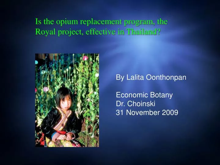 is the opium replacement program the royal project effective in thailand