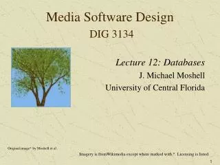 Media Software Design DIG 3134