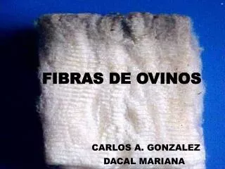 FIBRAS DE OVINOS