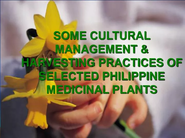 some cultural management harvesting practices of selected philippine medicinal plants