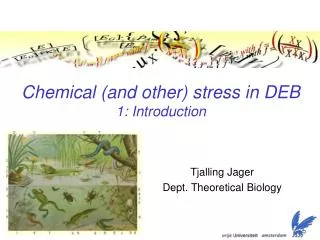 Chemical (and other) stress in DEB 1: Introduction