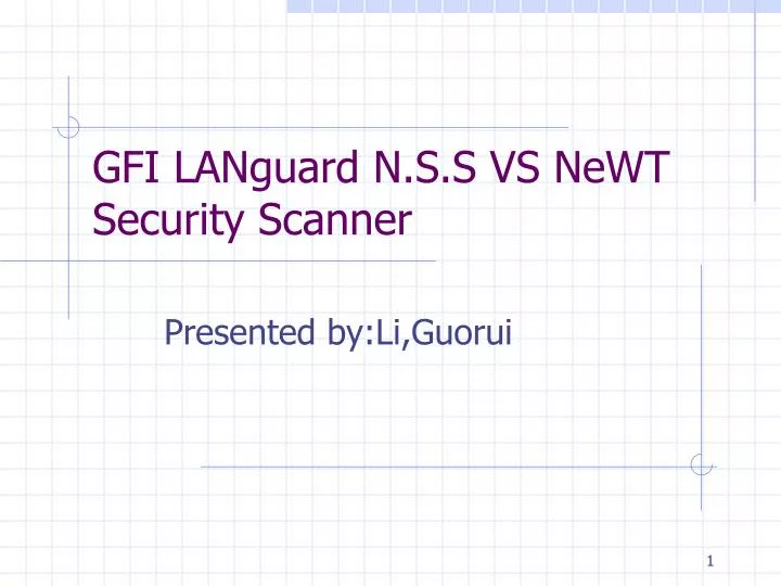gfi languard n s s vs newt security scanner