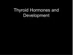 Thyroid Hormones and Development - slide 1