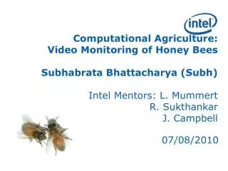 Computational Agriculture: Video Monitoring of Honey Bees Subhabrata Bhattacharya (Subh) Intel Mentors: L. Mummert R.