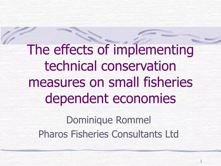the effects of implementing technical conservation measures on small fisheries dependent economies