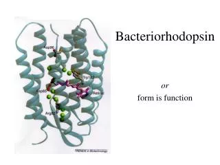 Bacteriorhodopsin