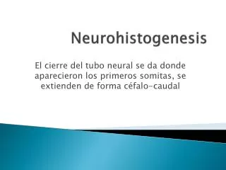 neurohistogenesis
