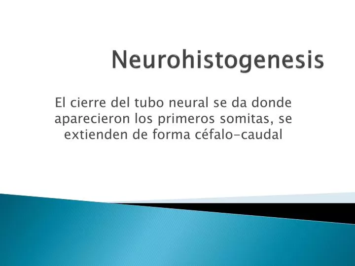 neurohistogenesis