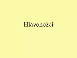 hlavono ci