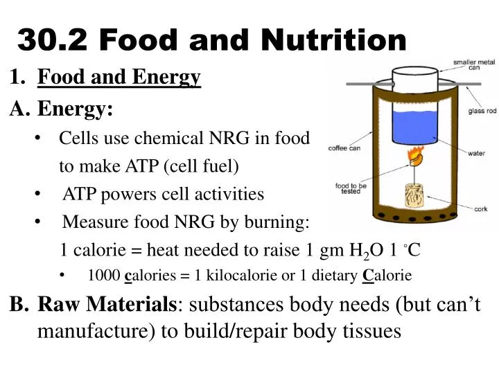 30 2 food and nutrition
