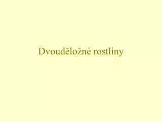 dvoud lo n rostliny
