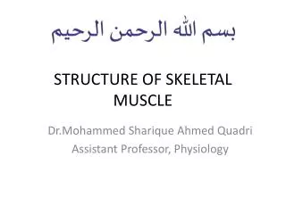 STRUCTURE OF SKELETAL MUSCLE