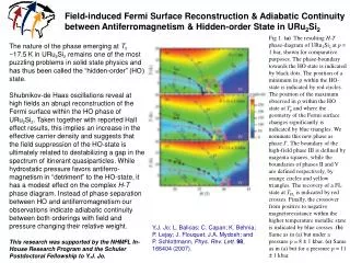 Field-induced Fermi Surface Reconstruction &amp; Adiabatic Continuity between Antiferromagnetism &amp; Hidden-order Stat