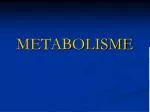 METABOLISME - slide 1