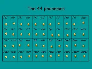 The 44 phonemes