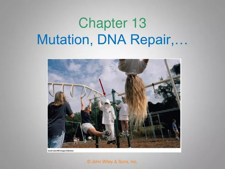 chapter 13 mutation dna repair