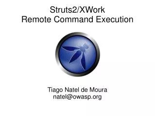 Struts2/XWork Remote Command Execution