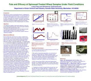 Fate and Efficacy of Spinosad-Treated Wheat Samples Under Field Conditions Liang Fang and Bhadriraju Subramanyam