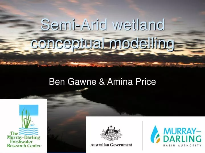 semi arid wetland conceptual modelling