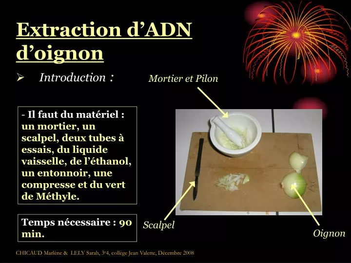 extraction d adn d oignon