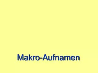 makro aufnamen