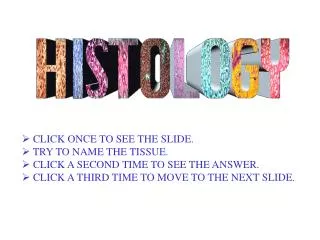 CLICK ONCE TO SEE THE SLIDE. TRY TO NAME THE TISSUE. CLICK A SECOND TIME TO SEE THE ANSWER. CLICK A THIRD TIME TO MOV