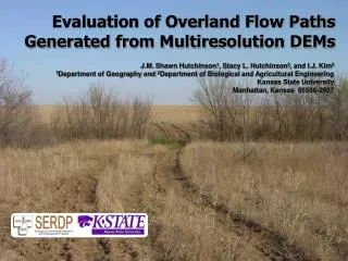 Evaluation of Overland Flow Paths Generated from Multiresolution DEMs