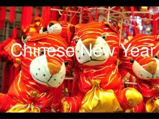 Chinese New Year Photos
