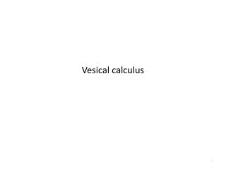 Vesical calculus