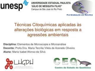 Disciplina: Elementos de Microscopia e Microanálise Docente: Profa Dra. Maria Tercília Vilela de Azeredo Oliveira Alun