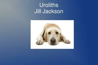 Uroliths Jill Jackson