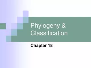 Phylogeny &amp; Classification