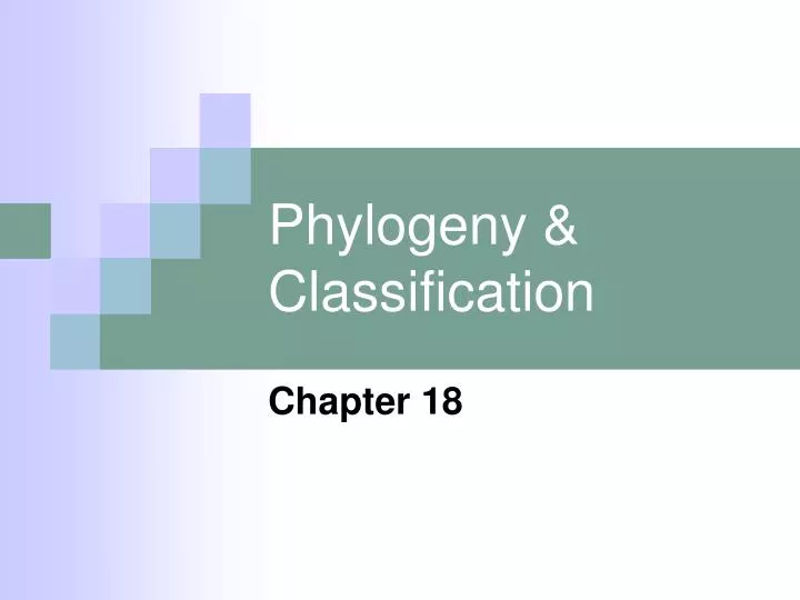 phylogeny classification