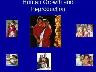 Human Growth and Reproduction