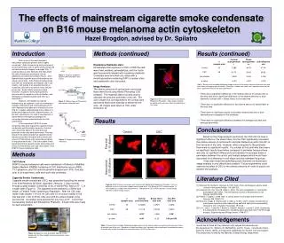 The effects of mainstream cigarette smoke condensate on B16 mouse melanoma actin cytoskeleton Hazel Brogdon, advised by