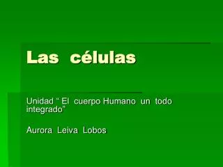 las c lulas