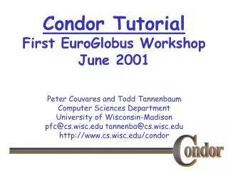 Condor Tutorial First EuroGlobus Workshop June 2001