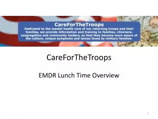 CareForTheTroops EMDR Lunch Time Overview
