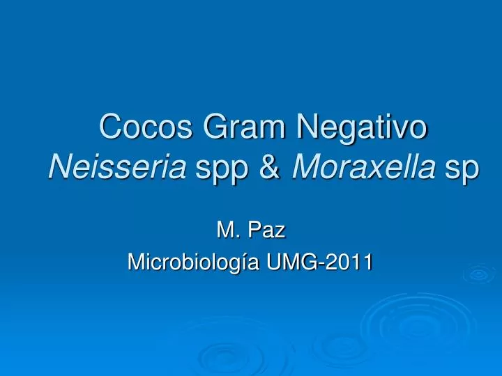 cocos gram negativo neisseria spp moraxella sp