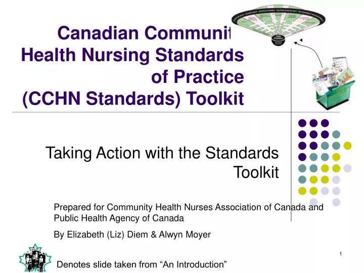 canadian community health nursing standards of practice cchn standards toolkit