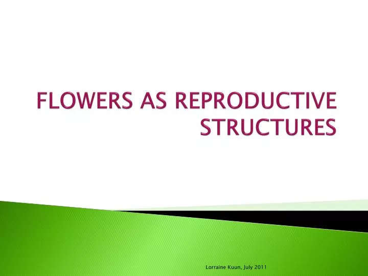 flowers as reproductive structures