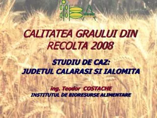 CALITATEA GRAULUI DIN RECOLTA 2008