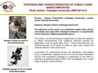SYNTHESIS AND CHARACTERIZATION OF COBALT OXIDE NANOCOMPOSITES Shaik Jeelani, Tuskegee University, DMR 0611612